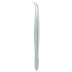 Perry Dental Forceps, Fig. 1