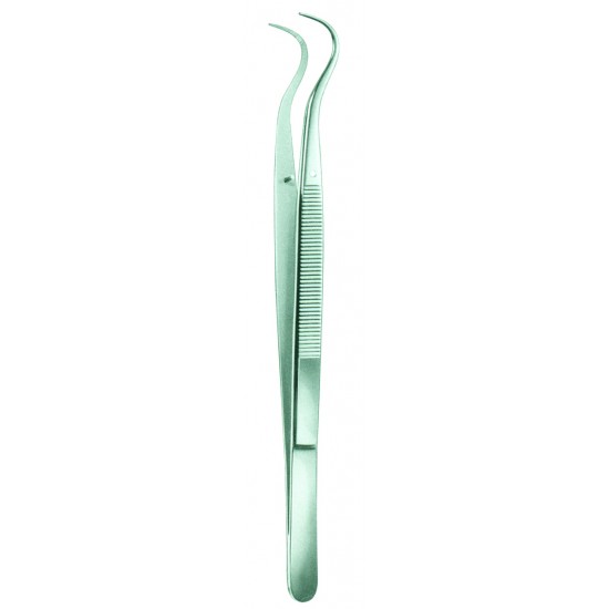 London Collage Serrated Dental Forceps