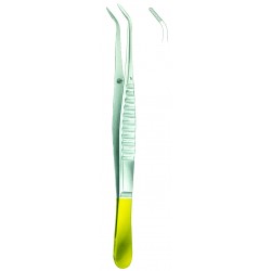 Dental Forceps