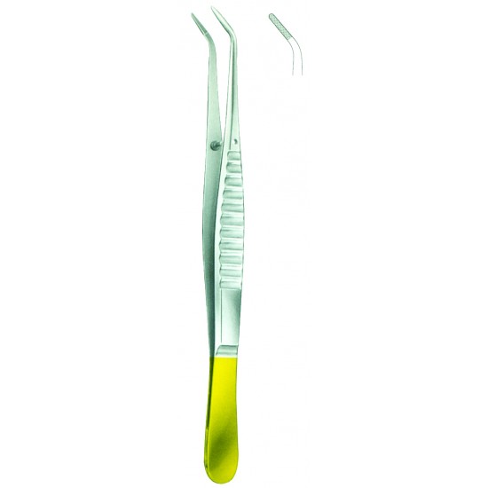 Dental Forceps