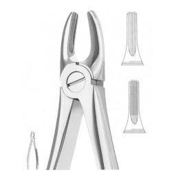 Extracting Forceps English Pattern, Fig: 2