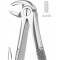 Extracting Forceps English Pattern, Fig: 13