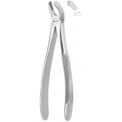 Extracting Forceps English Pattern, Fig: 19