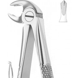 Extracting Forceps English Pattern, Fig: 22
