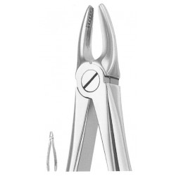 Extracting Forceps English Pattern, Fig: 29N