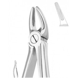 Extracting Forceps English Pattern, Fig: 30