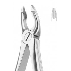 Extracting Forceps English Pattern, Fig: 35