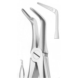 Extracting Forceps English Pattern, Fig: 46L