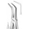 Extracting Forceps English Pattern, Fig: 46L