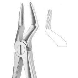 Extracting Forceps English Pattern, Fig: 51