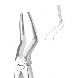 Extracting Forceps English Pattern, Fig: 51L