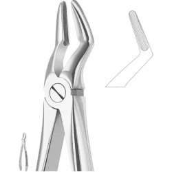 Extracting Forceps English Pattern, Fig: 52
