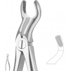 Extracting Forceps English Pattern, Fig: 67A