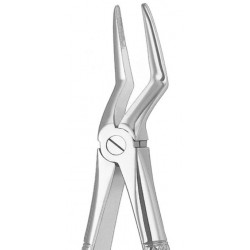 Extracting Forceps English Pattern, Fig: 235