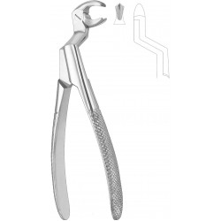 Extracting Forceps English Pattern Routurier