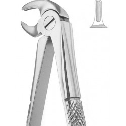 Extracting Forceps English Pattern, Fig: 13S