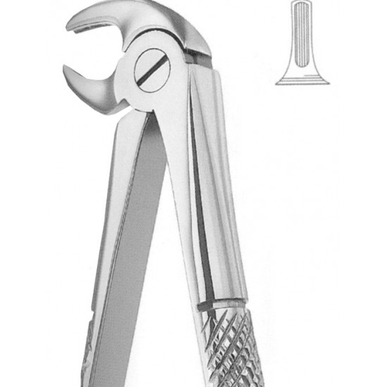 Extracting Forceps English Pattern, Fig: 13S
