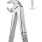 Extracting Forceps English Pattern, Fig: 13S