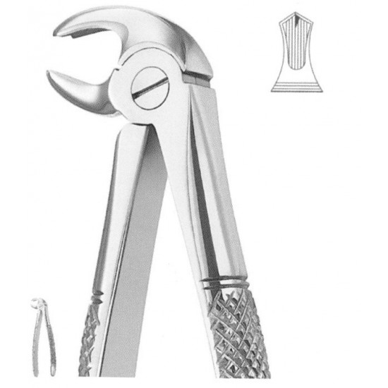 Extracting Forceps English Pattern, Fig: 22S