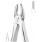 Extracting Forceps English Pattern, Fig: 29S