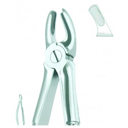 Extracting Forceps English Pattern, For Children, Fig: 39L