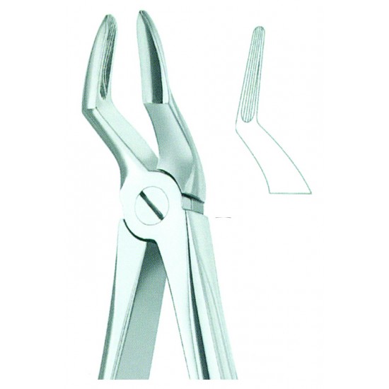 Extracting Forceps English Pattern, For Children, Fig: 51S
