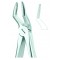 Extracting Forceps English Pattern, For Children, Fig: 51S