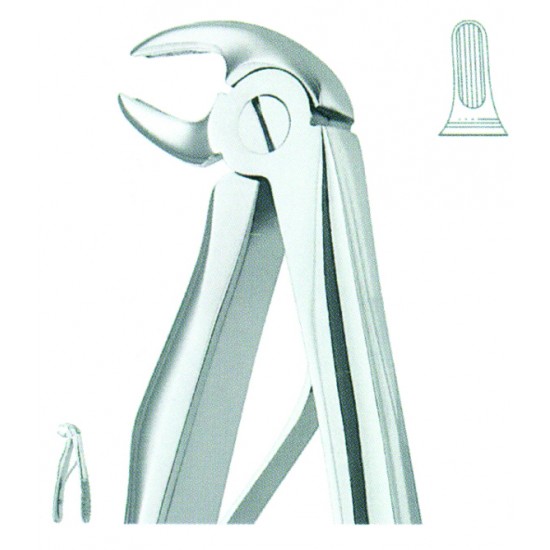Extracting Forceps English Pattern, For Children, Fig: 5
