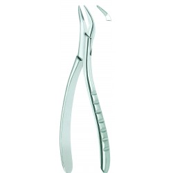 Extracting Forceps American Pattern, Fig: 300