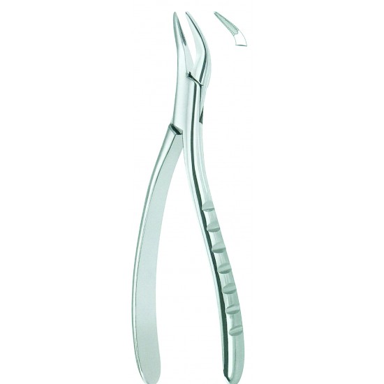 Extracting Forceps American Pattern, Fig: 300