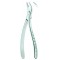 Extracting Forceps American Pattern, Fig: 300