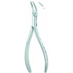 Extracting Forceps American Pattern, Fig: 301