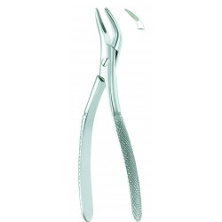 Extracting Forceps  American Pattern Witzel, Fig. 501
