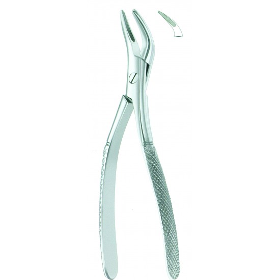 Extracting Forceps  American Pattern Witzel, Fig. 501